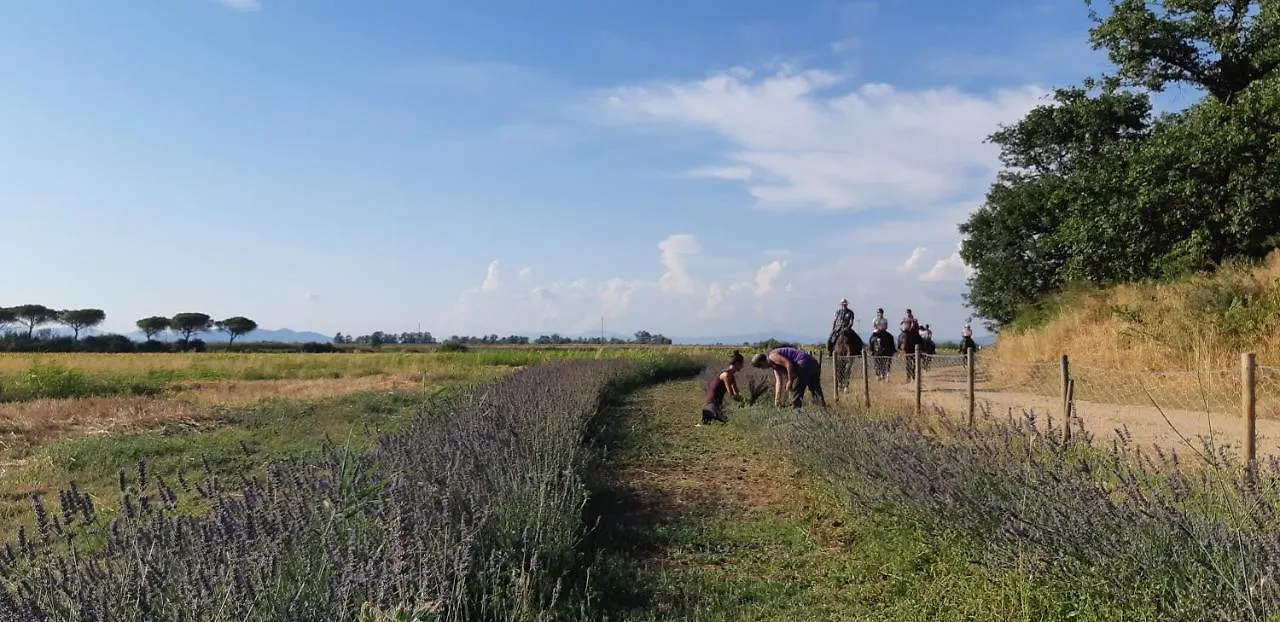 Bio Agriturismo Le Giunchiglie Alberese Farm stay