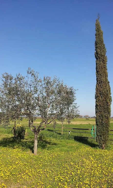 Bio Agriturismo Le Giunchiglie Alberese Italy