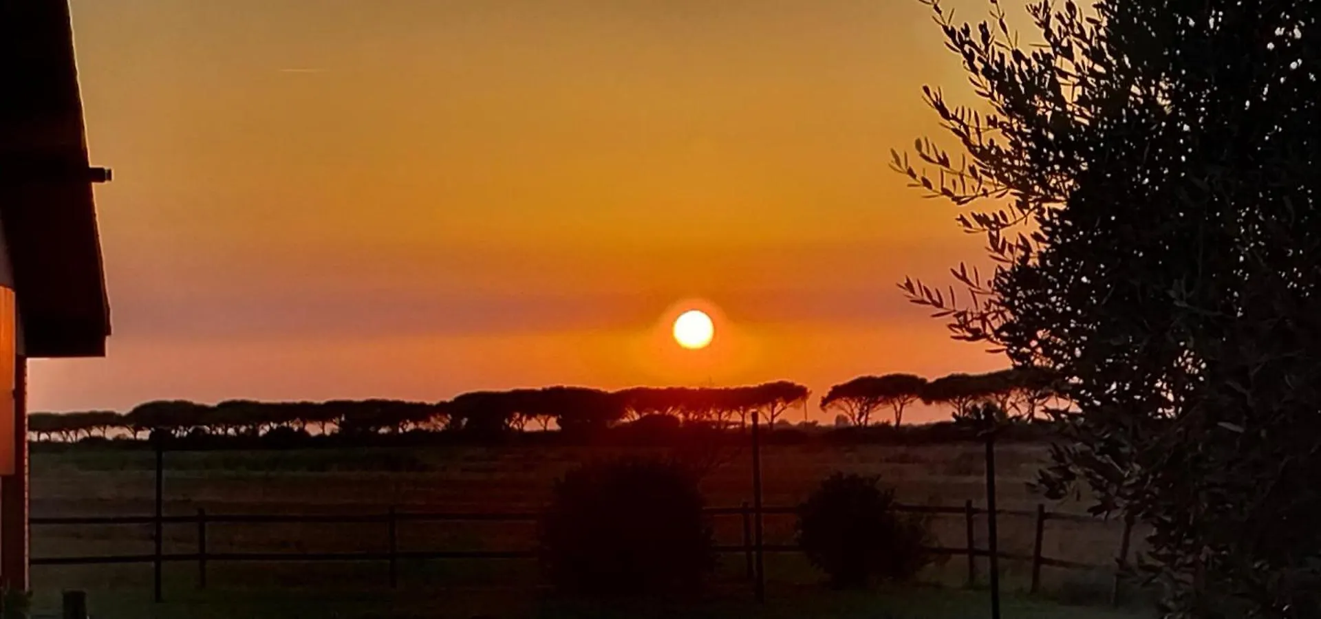 Bio Agriturismo Le Giunchiglie Alberese 0*,  Italy