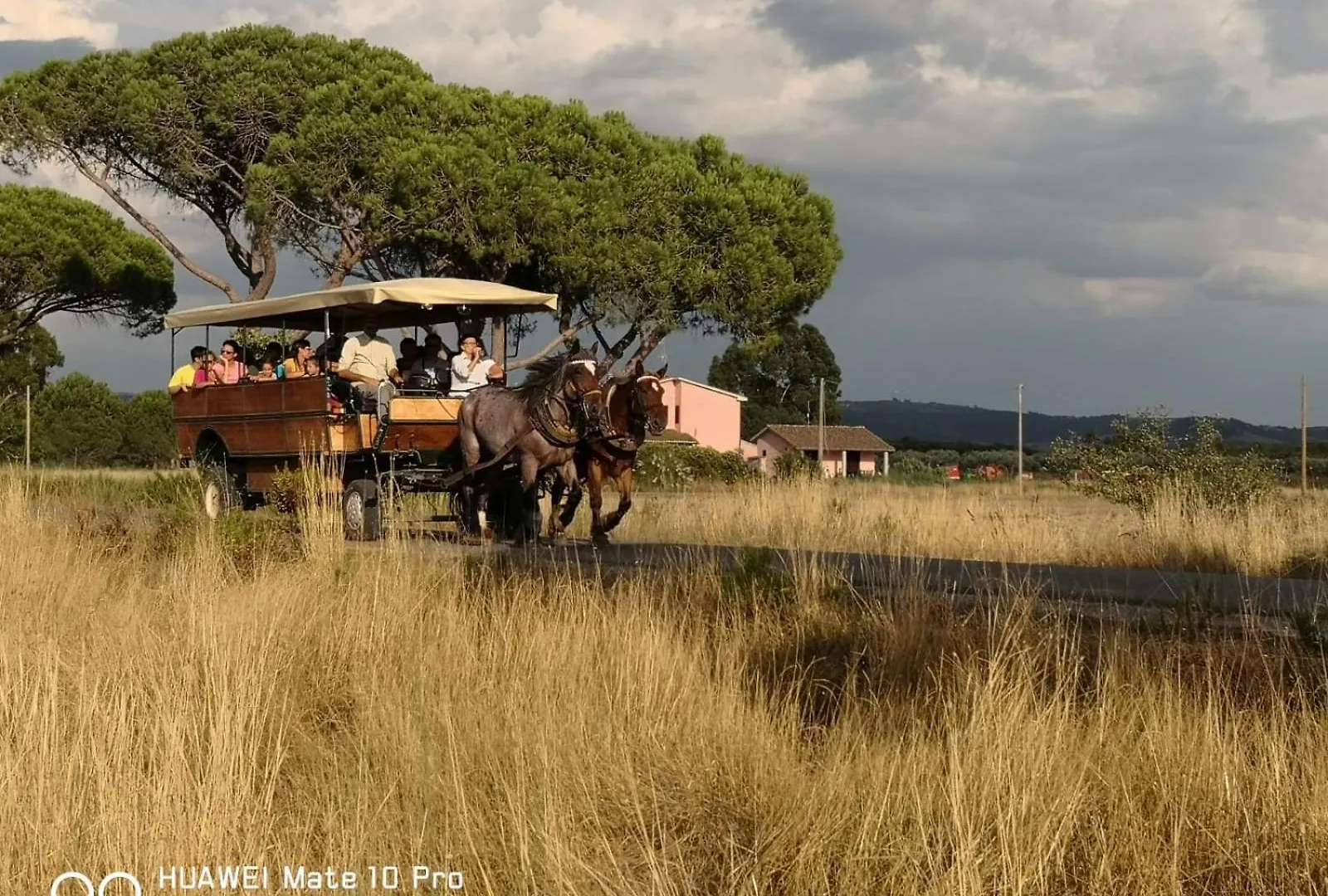 Farm stay Bio Agriturismo Le Giunchiglie Alberese