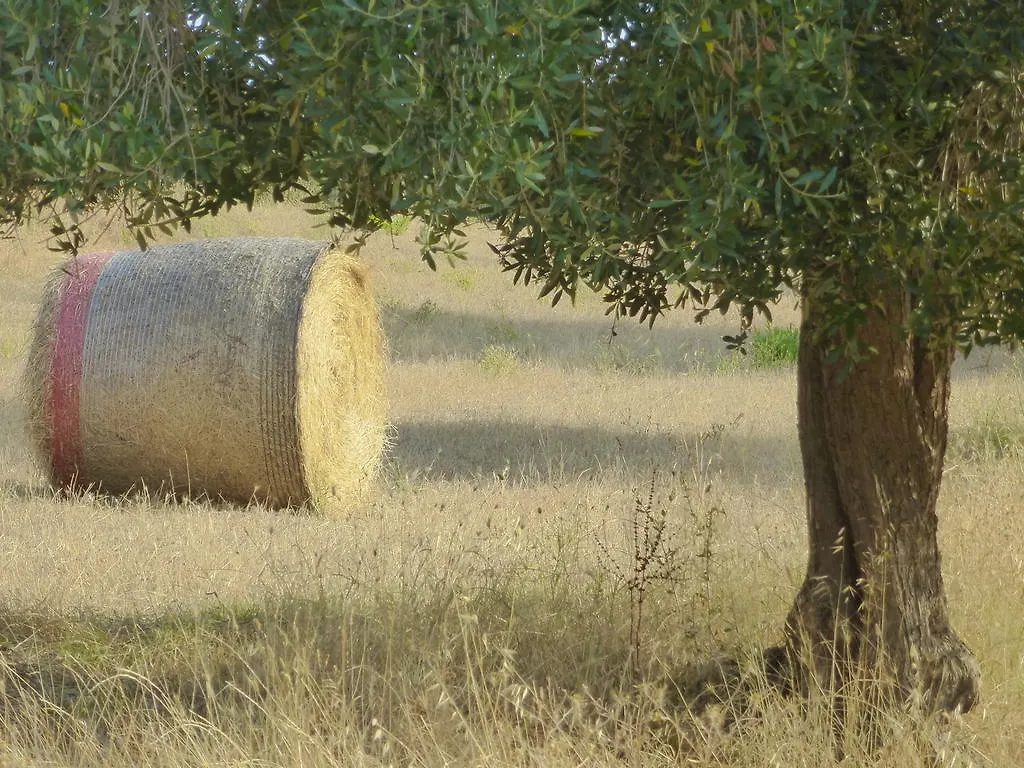 Farm stay Bio Agriturismo Le Giunchiglie Alberese