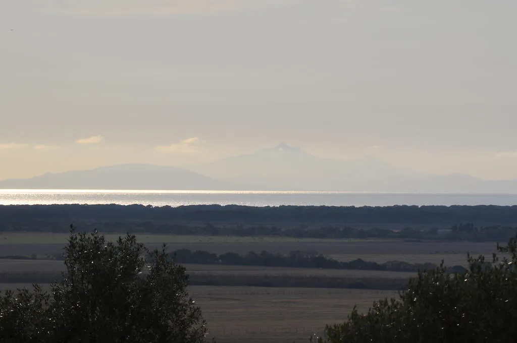 Bio Agriturismo Le Giunchiglie Alberese Farm stay