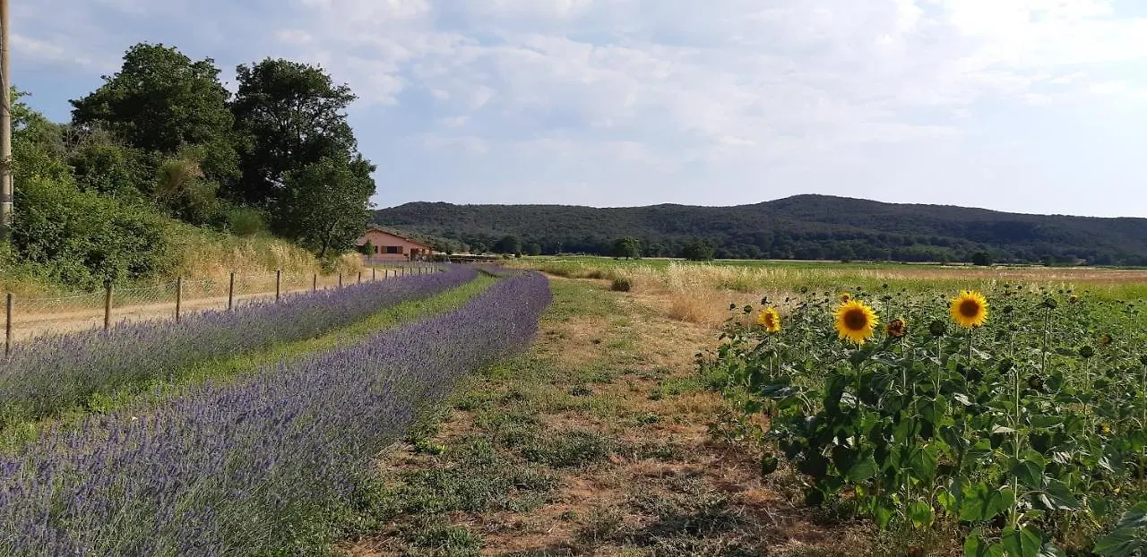אלברזה Bio Agriturismo Le Giunchiglie 0*,