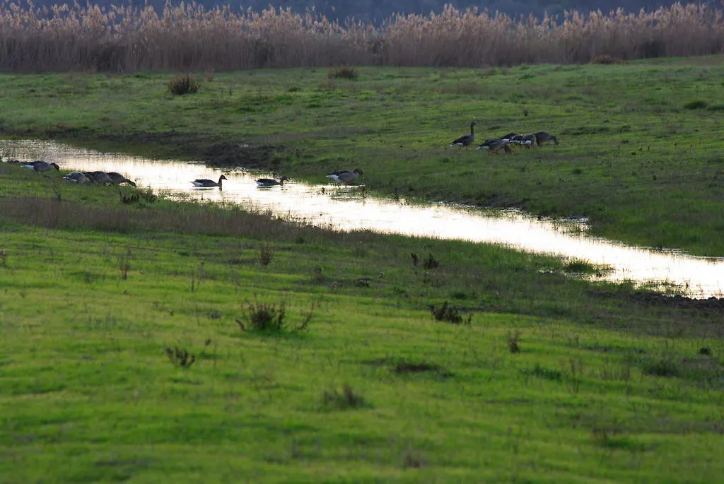 בית חווה אלברזה Bio Agriturismo Le Giunchiglie